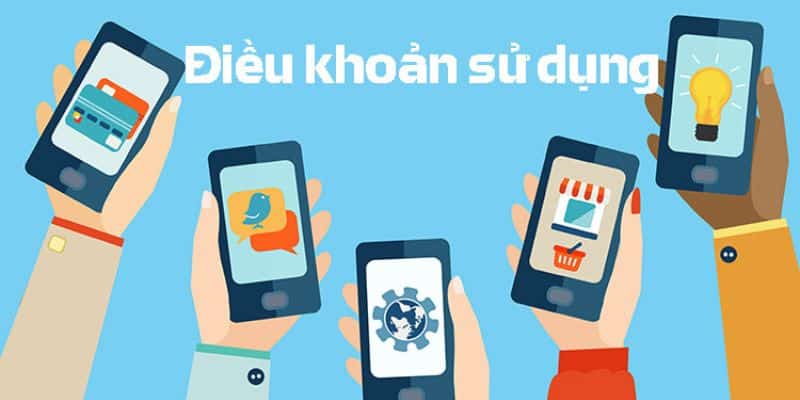 Điều Khoản Sử Dụng VF555 – Minh Bạch Và Trách Nhiệm